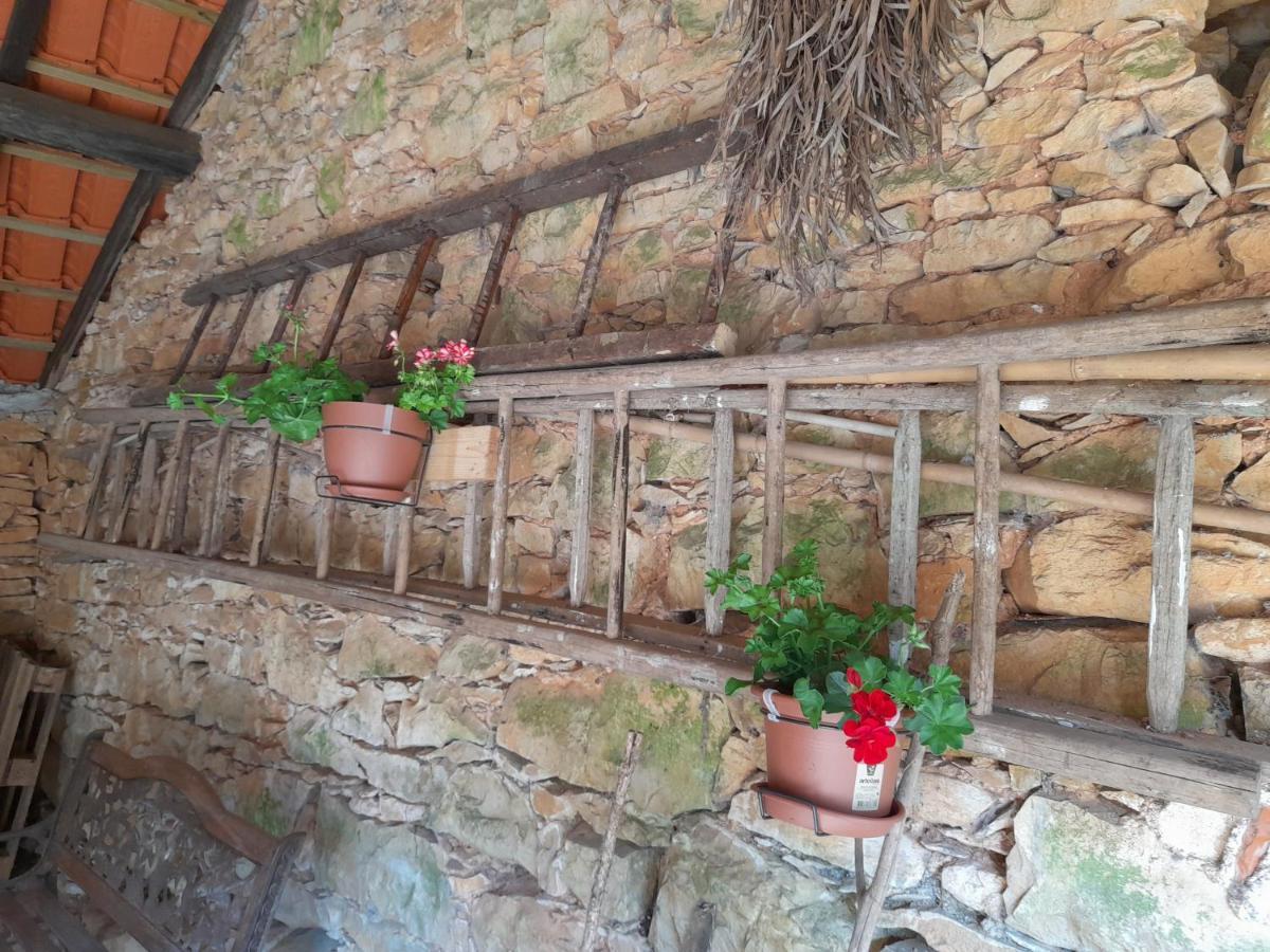 Casa Dos Terranhos Villa Tomar Dış mekan fotoğraf